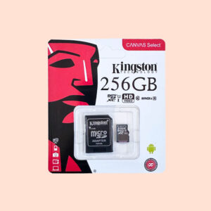 1201 Memory Card 256 GB